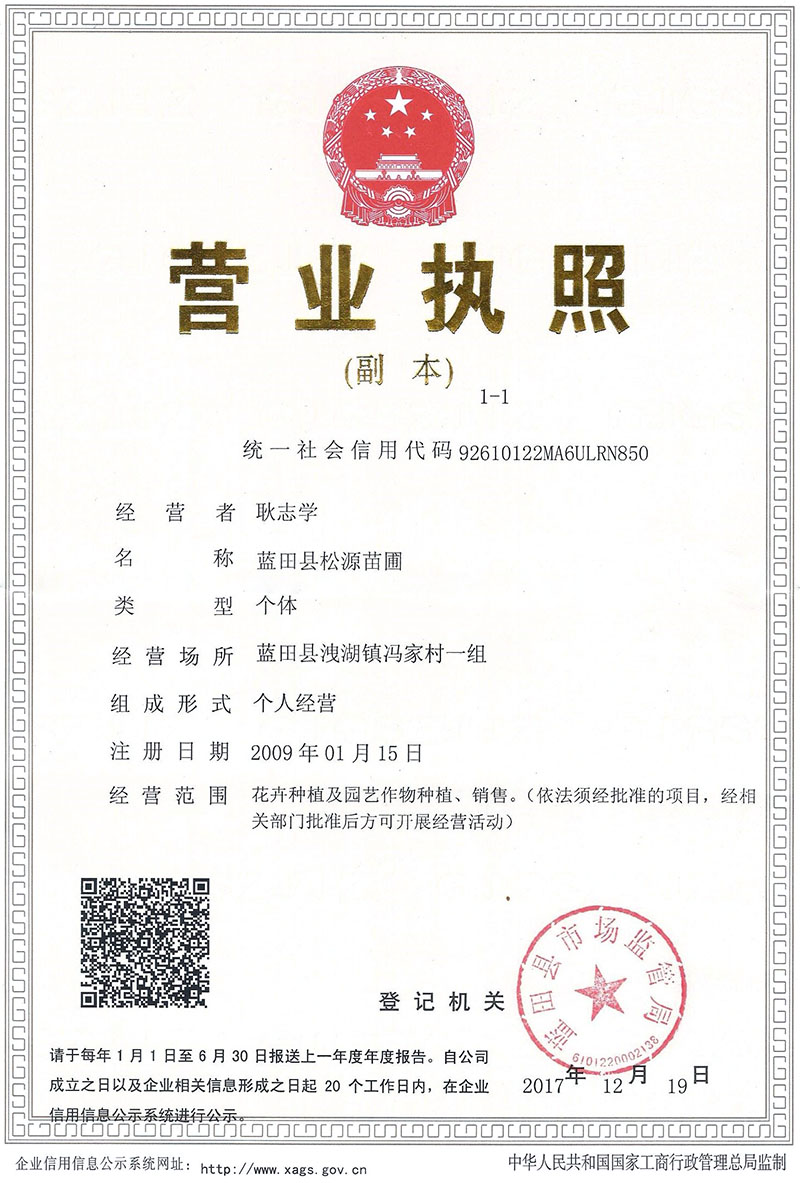 蓝田松源白皮松营业执照